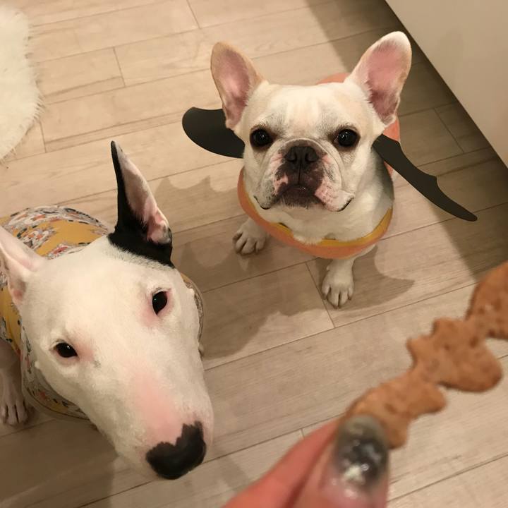 850539fe 8495 4235 9850 4fe79208a67d 1509434819689