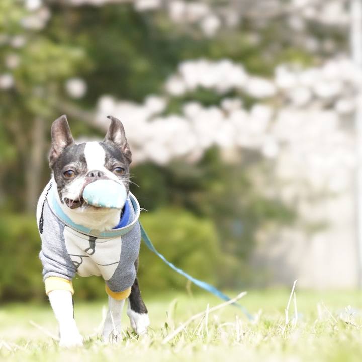 85056350 c25b 4456 9151 3cdf23142104 1521953655585