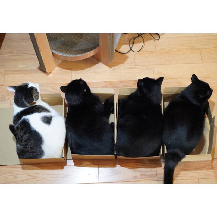 8505862e cc20 4140 a956 6adfd995be27 1626185622069