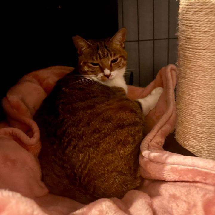 850601d5 59df 49de a02e 557354f8e7fe 1761832314769