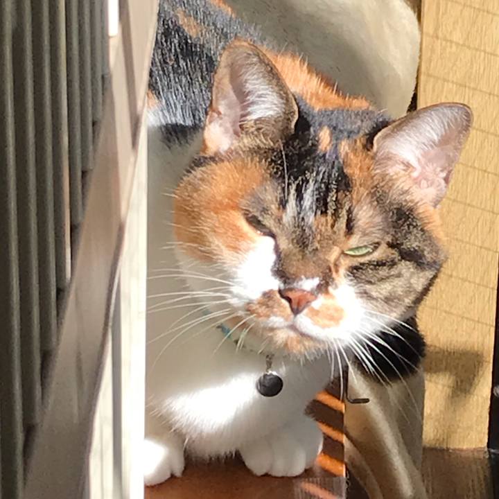 8506076c 4565 42de a845 87732c6f35c1 1644025065878