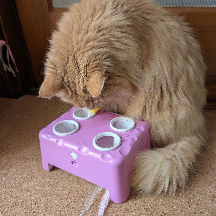 85060eef b2b5 4ec2 9c9a 53a6a5c45496 1740883077171