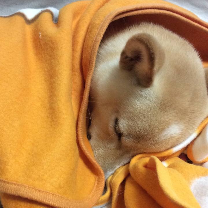 85061d2c 47a7 43d6 980b bdc0316b98f9 1508904920568