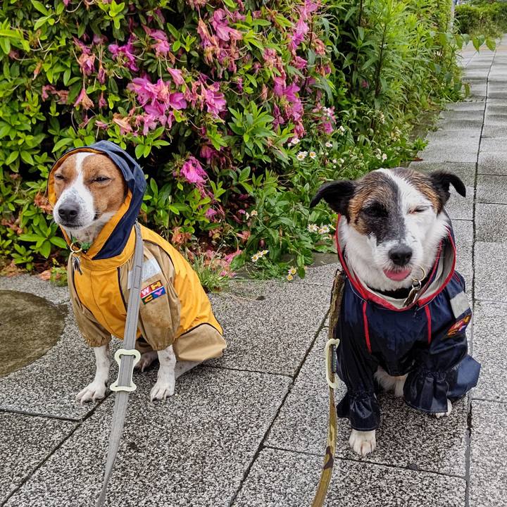 85062b38 91b5 4c97 99c3 85fa5a262dd9 1652395841917