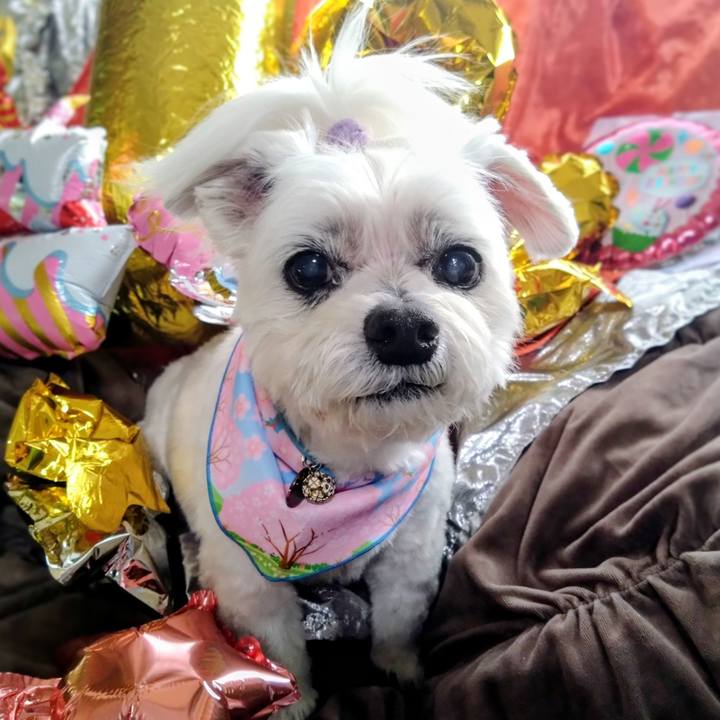 85065b22 dd13 4665 8473 102572f72571 1774357098027