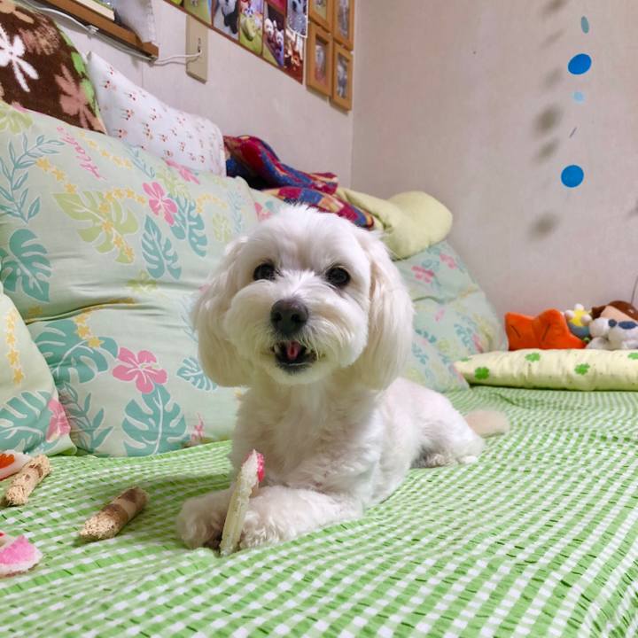 85069c75 5d42 458c 9074 7d995ea5dc05 1528631654002