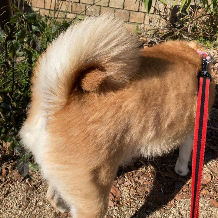 8506b30b 6297 4cf8 b34b a18e50b23aa5 1612959085274