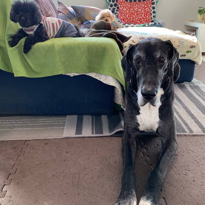 85070943 a339 4beb 866c bee456057d27 1553208207255