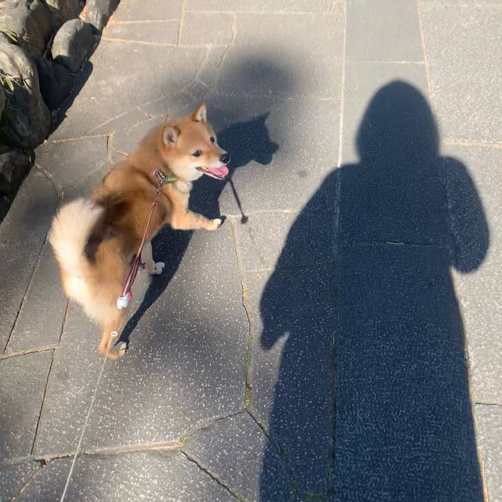 850733ff 844f 4a09 891b 37c5783f06e1 1770179783806