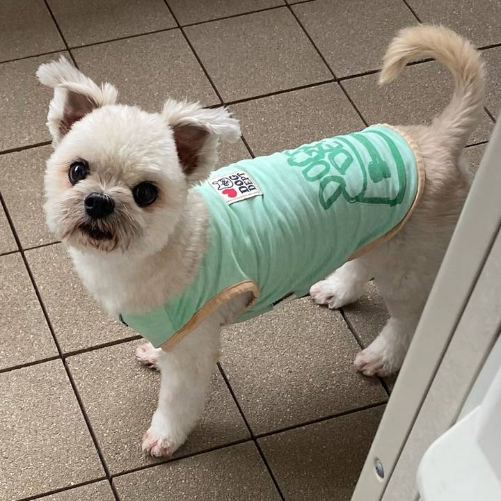 85074ada 72da 47b0 9393 f8d05a6989df 1758318660816