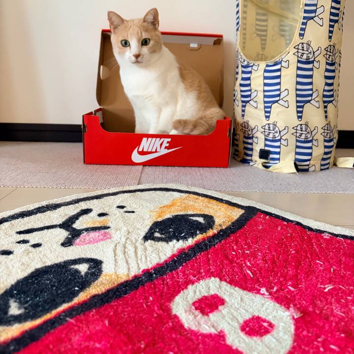 85074f9a b3ac 48e6 a0bd 5555aa47a2cd 1773877007965