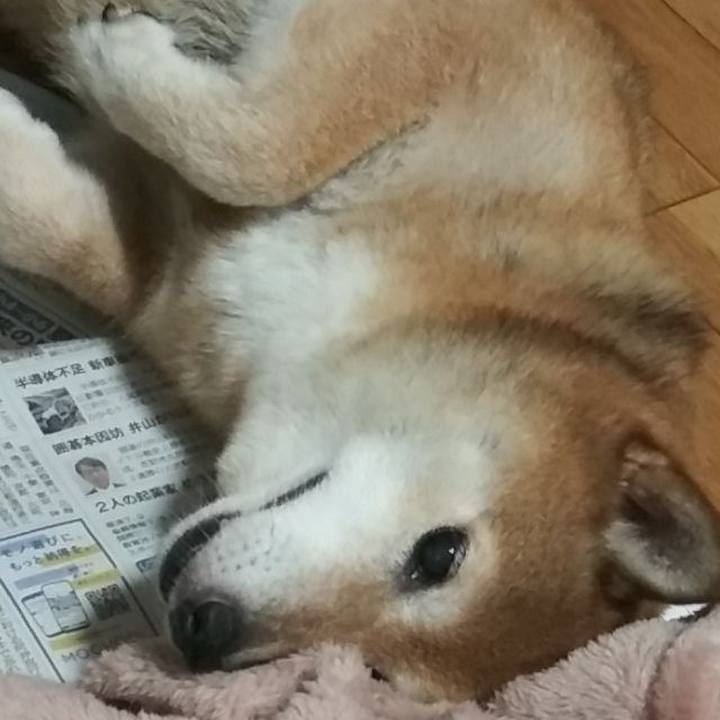 850776be 4a88 4a8a af63 8539a587e7d4 1625742925993