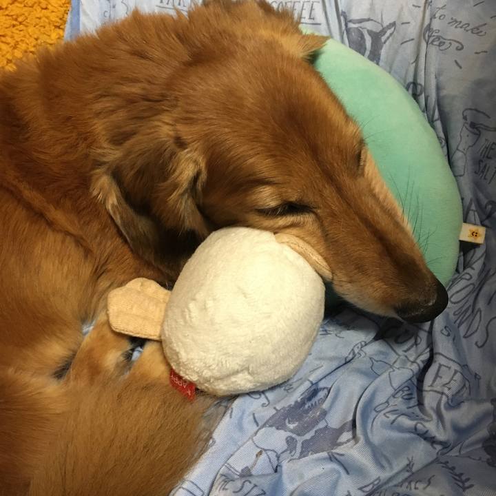 8507a905 a3ea 4611 b04b a381889af28c 1626094237509