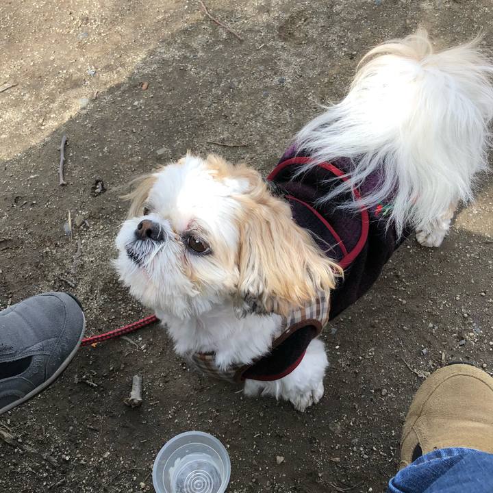 8507db3e ec80 4702 ac40 9ea11ab3c21a 1522445806348