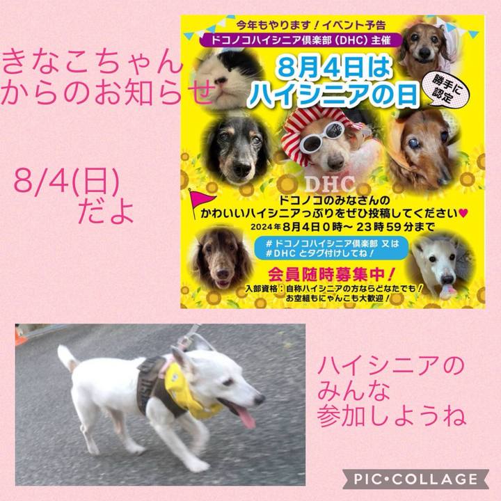 850808a9 3059 4efe 8367 be1020ccf655 1722204472496