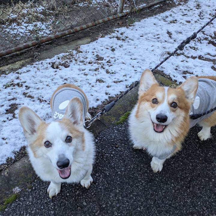 8508197b 4302 4d94 8f45 f05d984825a0 1767401617941