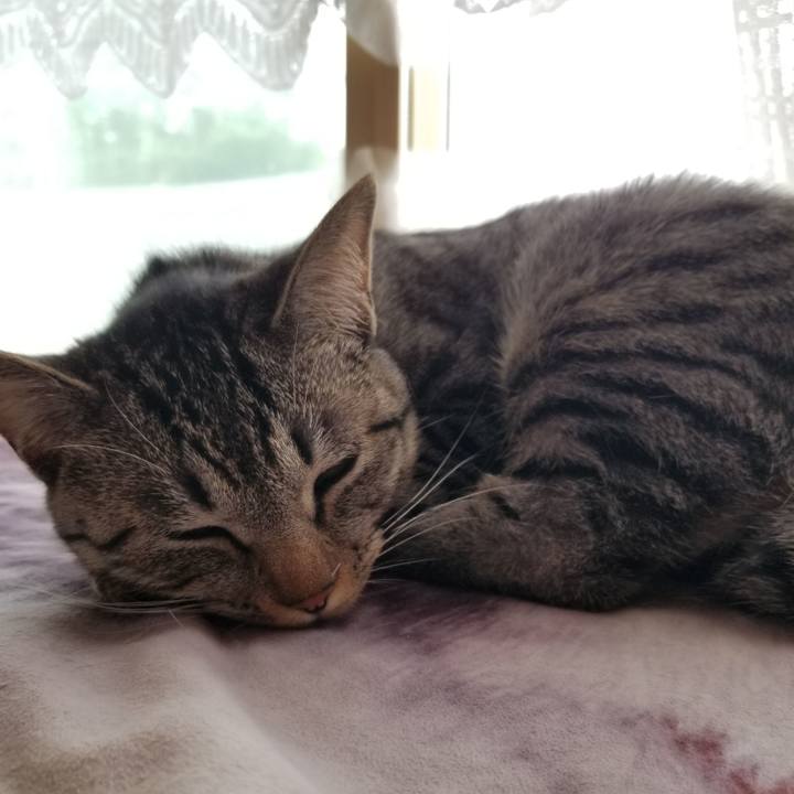 85083781 9ea9 4d98 9121 dc47013a5f9c 1682951960841