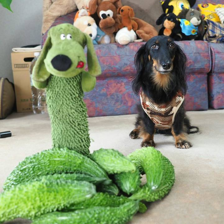 85083fcb 4d2f 475e a6e3 98dddb5b7c28 1568082895073