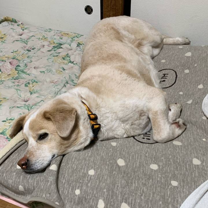 85084369 f5ff 4033 a10d 8ef8b5b7f990 1583156464847