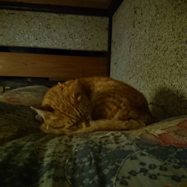 8508a13b 1302 4344 b844 fe9374525661 1601812455100