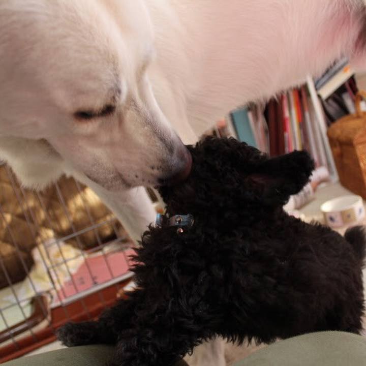 8508cefd 538b 408c 96a7 3c73c8a4de97 1571036630303