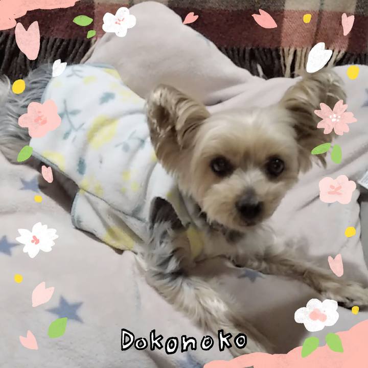 85092032 93a9 4acf 9666 69b6c54e9b1e 1711100898014