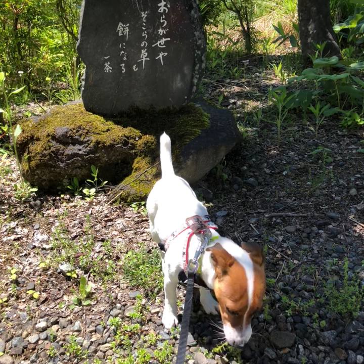 850944bd 3606 4e48 a1ac 0aa237268759 1526788536096