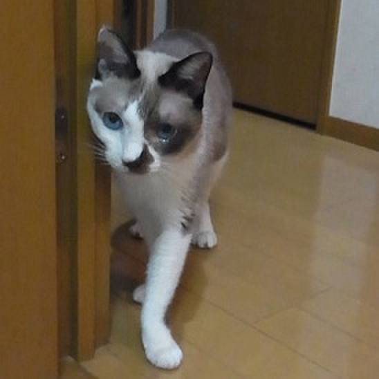 850952a0 de4a 465b 9fd7 a9183cb6e813 1720653559113