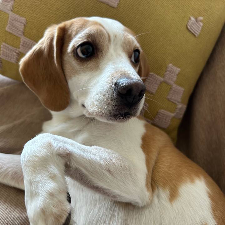 85095974 2be8 4197 9ecf d355fda0ff41 1713926695921