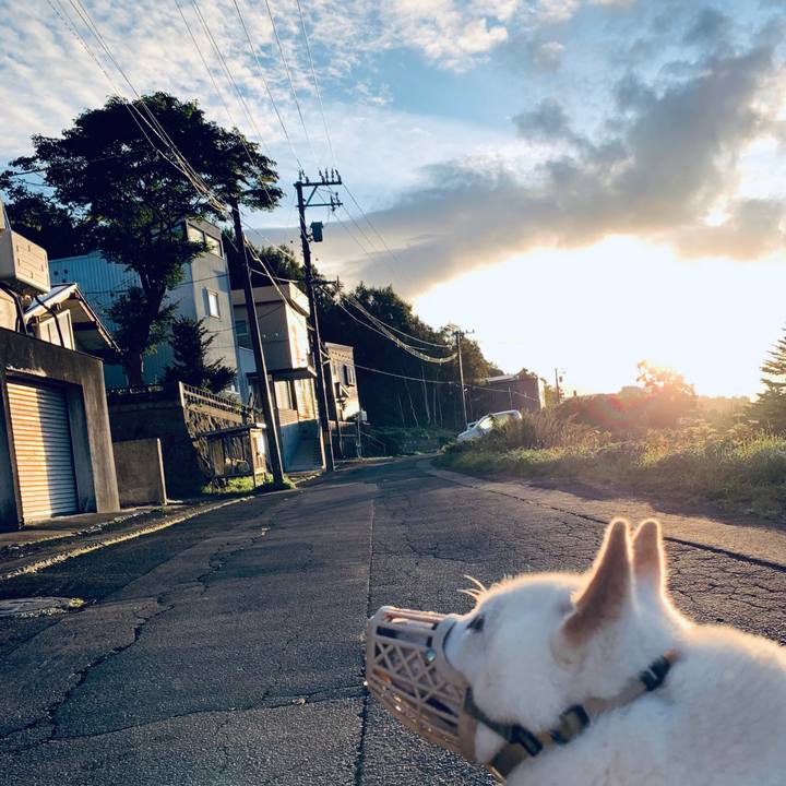 850969ba c9ee 4cc2 8473 a40f1428e911 1600724755727