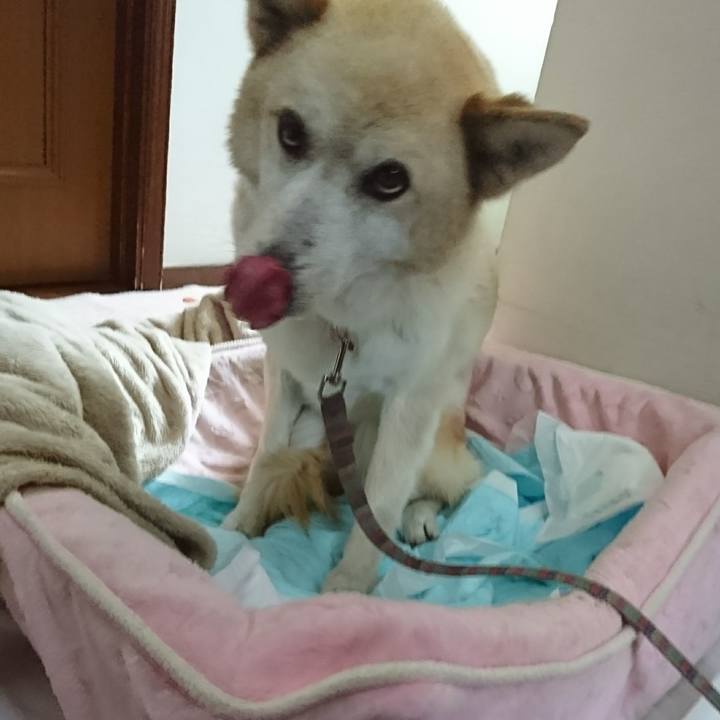 8509d5d5 53d7 4f61 bab5 af1f21999a90 1515382945956