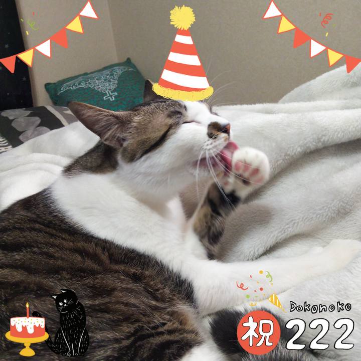 850a1c7c 46ff 4661 87f4 5761b0233de4 1645505649188