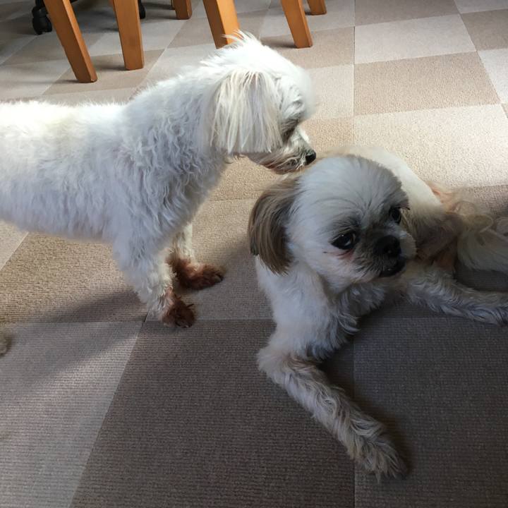 850a2fc4 0781 4dc1 9d60 3e81d57da116 1640925272332