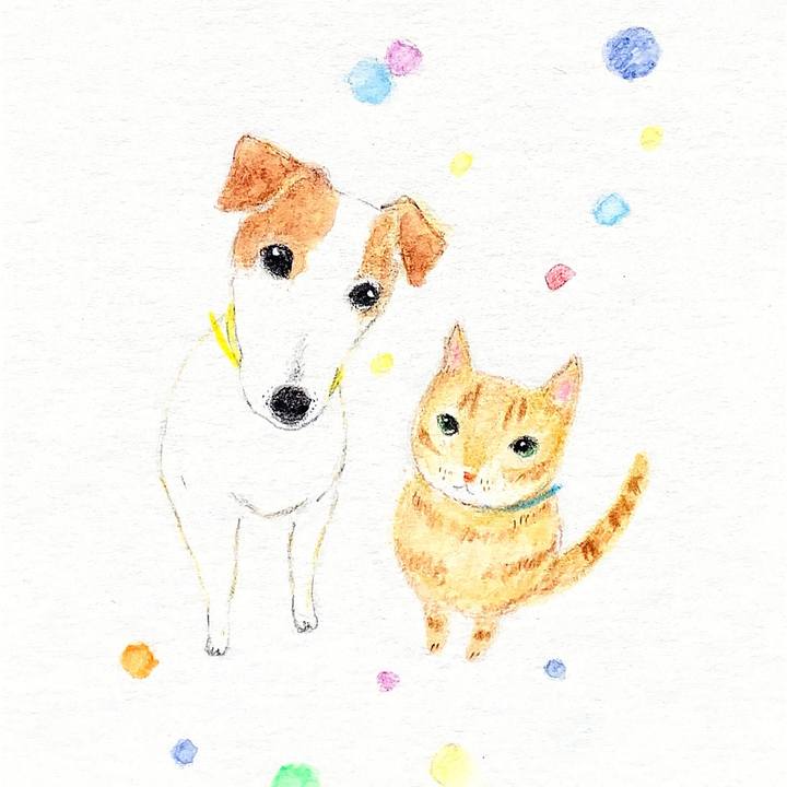 850a3a60 95b1 43cd aead f822331184a0 1659232841261