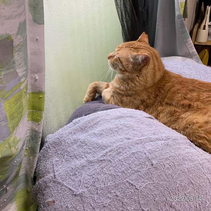 850a4cd2 7f93 4f28 a20c 4f040e969ad5 1652481396355