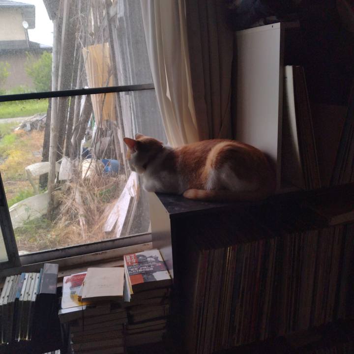 850a5b23 8000 4ac2 bda3 b0648884f6eb 1750728314958