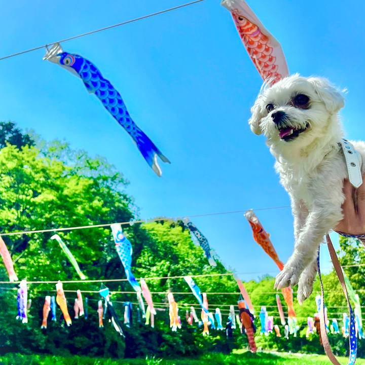 850a7757 6c01 45b3 81cb 2de3b7e69ad9 1683275302647