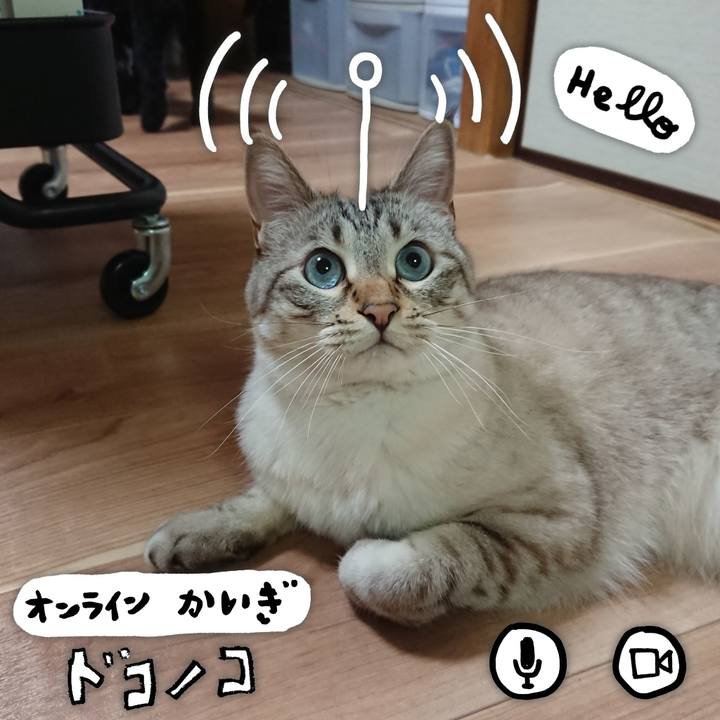 850ad34c c4be 4687 a596 c8fc1ec0ab26 1590750921602