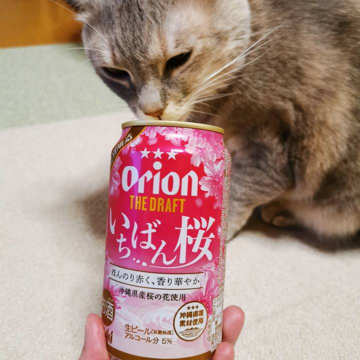 850b0796 3691 4015 84b9 b9bbd17662f2 1673756985501