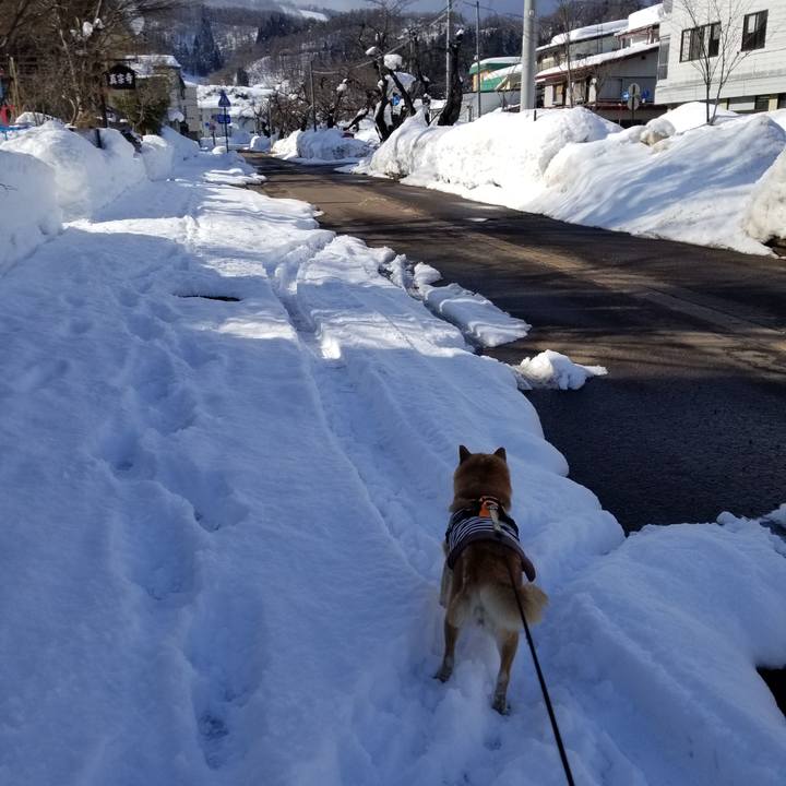 850b1dae b4bd 4dfe bab7 0b2a337be5c2 1643431763093