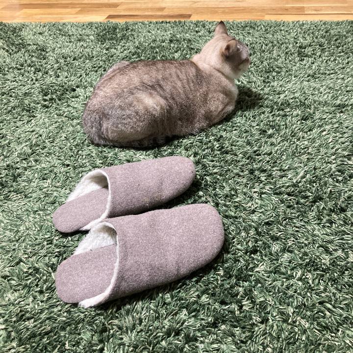 850b2a26 f8d8 49df 940c dccda741b536 1605616900624