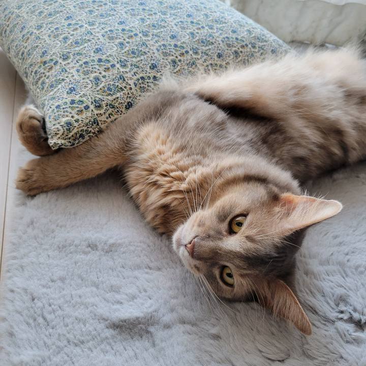 850b5711 d4cb 421a a42b a7d7ab5ea5a9 1656484606666