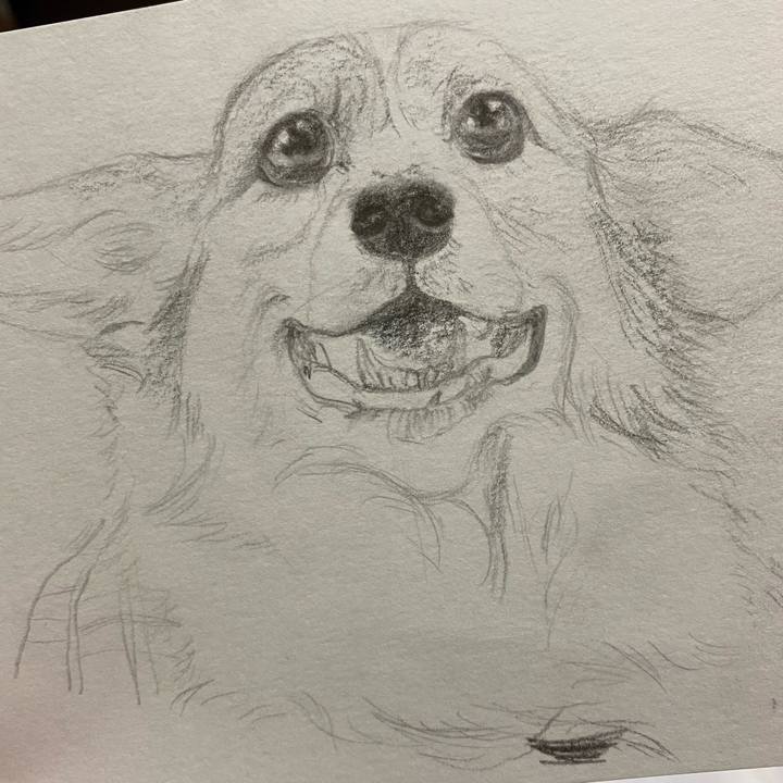 850b6880 343f 437f bd6d 085160046bd8 1646485419929