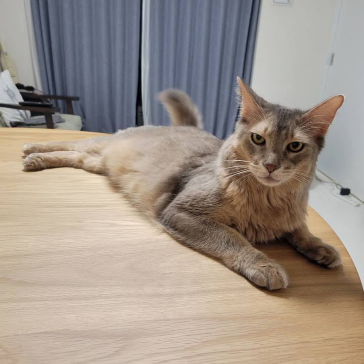 850b79c2 071d 4fb5 b22d 427620617a89 1693184943041