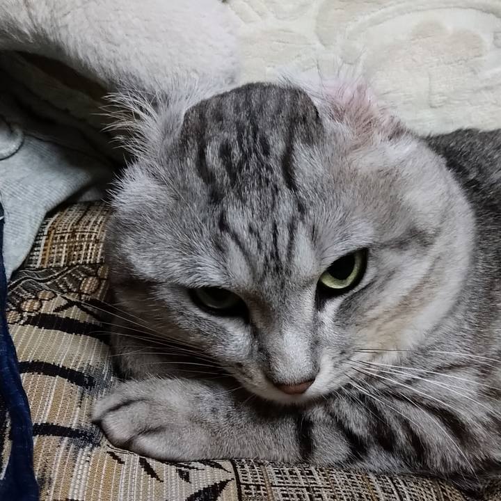 850b7ac6 32c2 4848 aa7f 47de0353fb1f 1586164204836