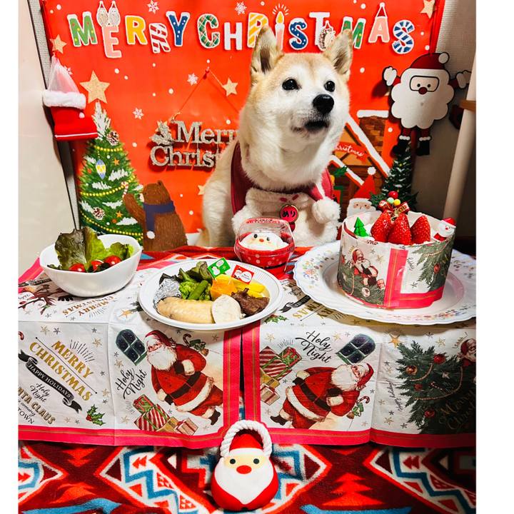 850b86a4 604c 4cc4 8b0d aa396f9ab8c6 1734996287255