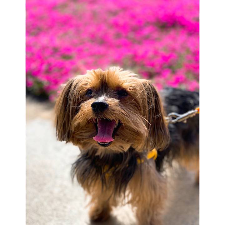 850bc59c 117c 40eb 929b eb5f2c2f3a7d 1556781261702