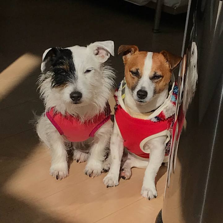 850bd27c c28e 4a47 a8e5 3d4f86b5d1e7 1516673899410