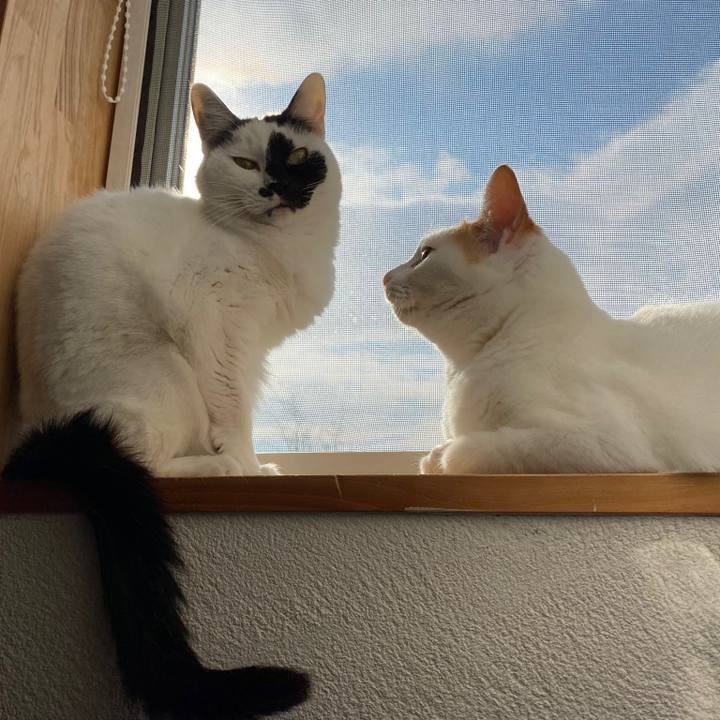 850c0f43 72fd 4405 afb5 e0282a4dc5d7 1765151379780