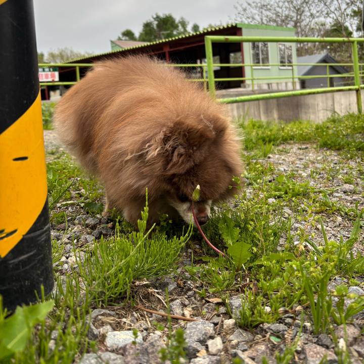 850c5a1f 2937 42a9 a048 a5e56f000d22 1747346483845